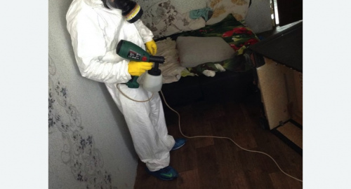 Обработка квартир от насекомых в Малино