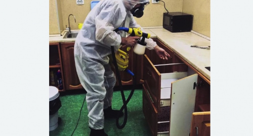 Дезинсекция квартиры. Малино