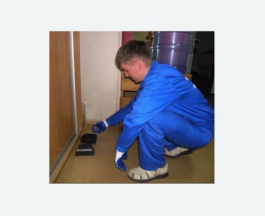 Дератизация крыс в Малино