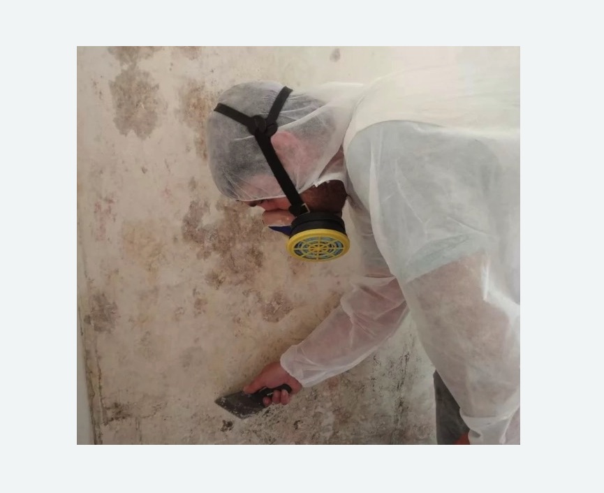Обработка стен от плесени в Малино