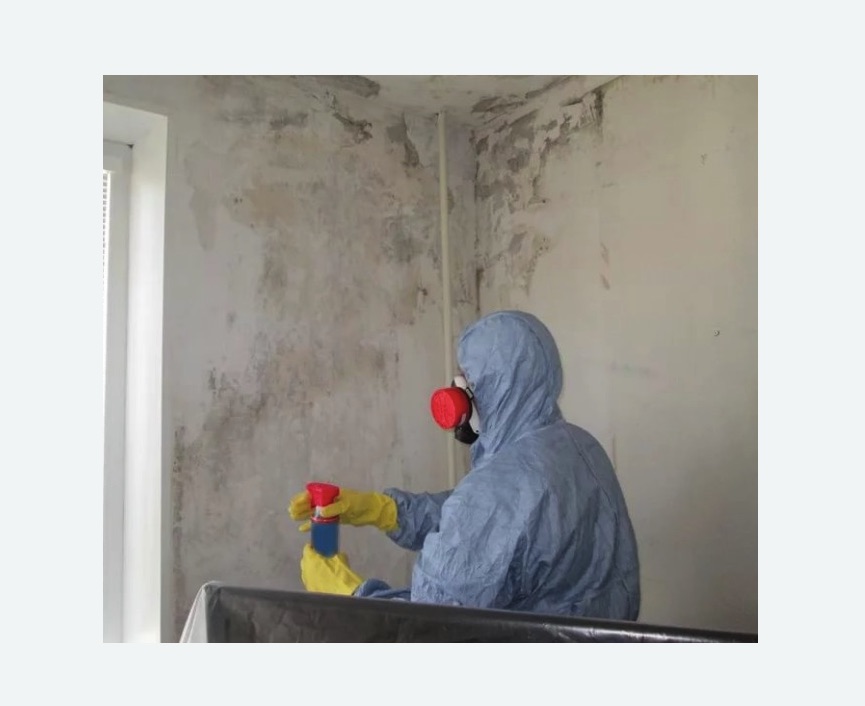 Удаление плесени в квартире в Малино