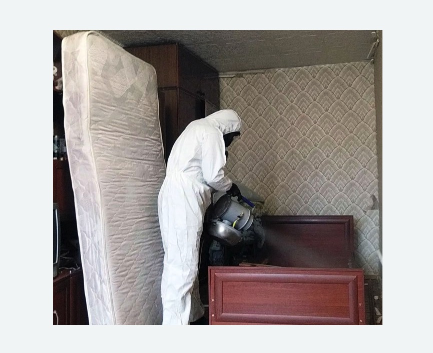 дезинфекция от клопов в Малино