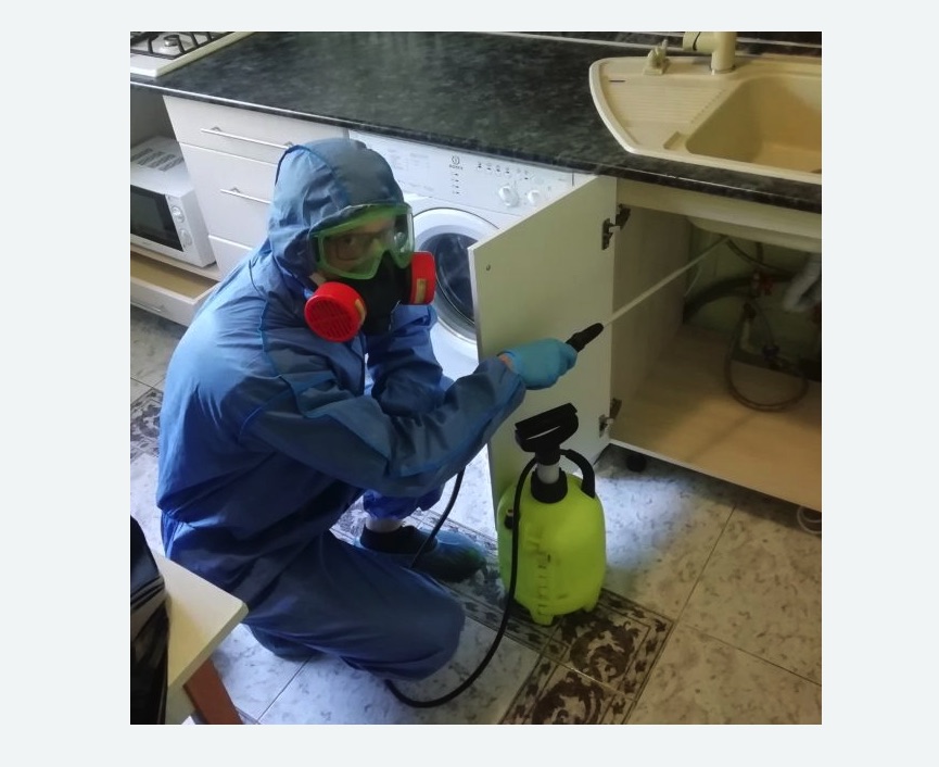 обработка от муравьев в квартире в Малино