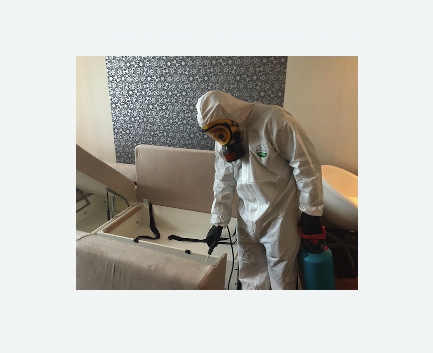 уничтожение клопов в квартире в Малино