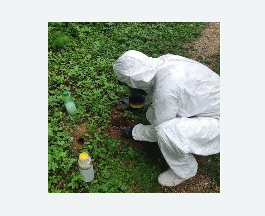 уничтожение кротов на участке в Малино